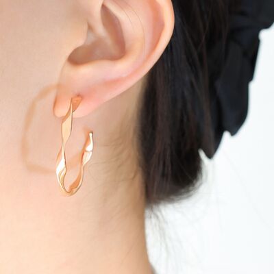 Titanium Steel C-Hoop Earrings - Luna Haru